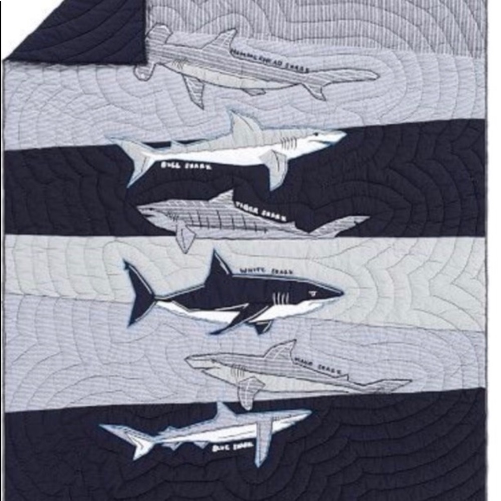 Brand new Pottery Barn Kids Shark quilt and shams